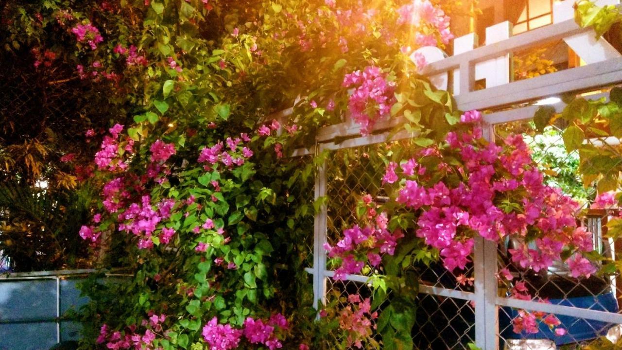 Lapaz Homestay 岘港 外观 照片